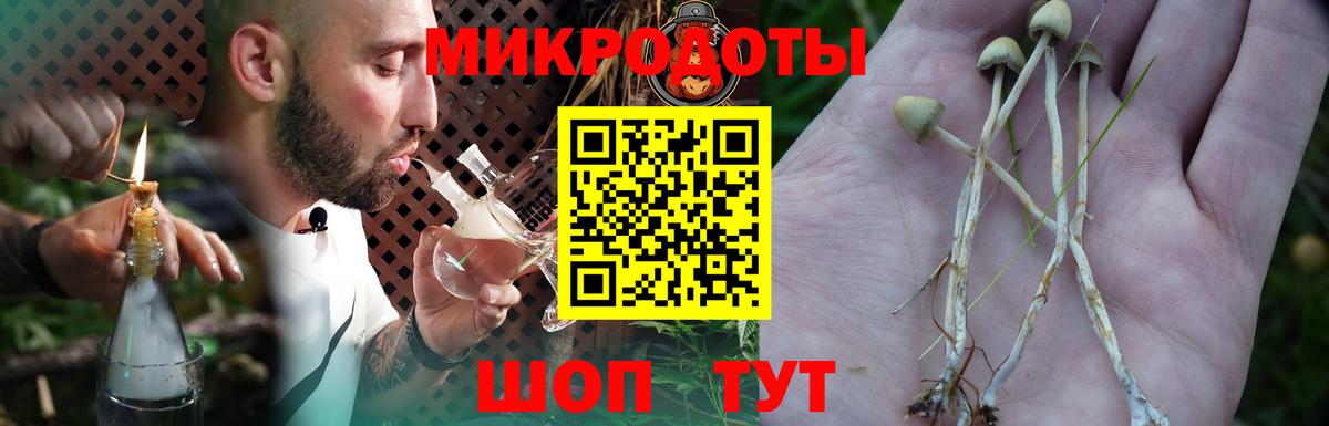 Галлюциногенные грибы мухоморы Павлово